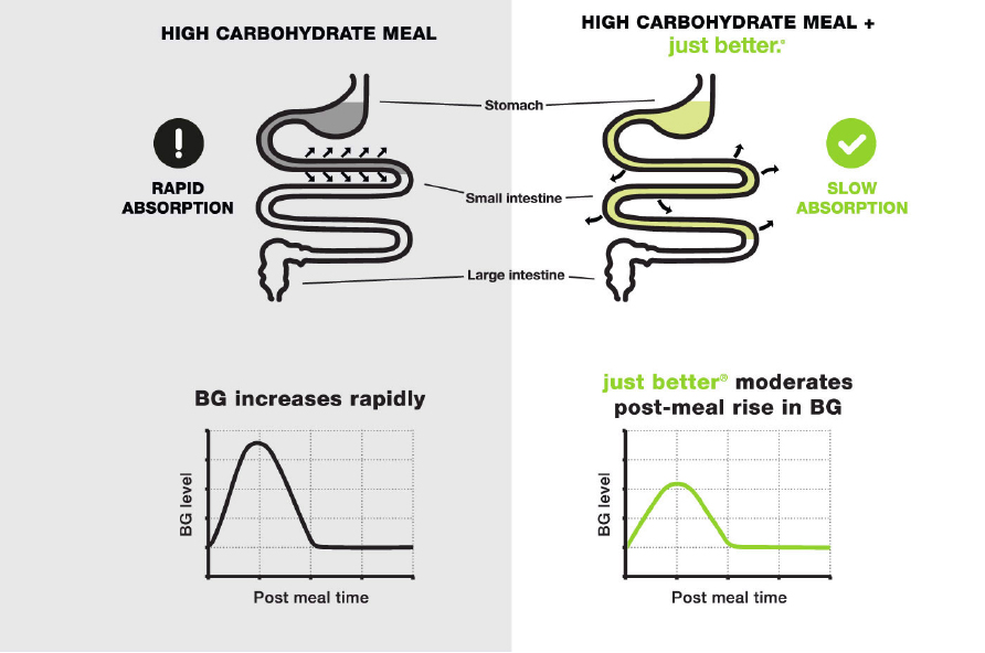 How It Works - High Carbohydrate Meal