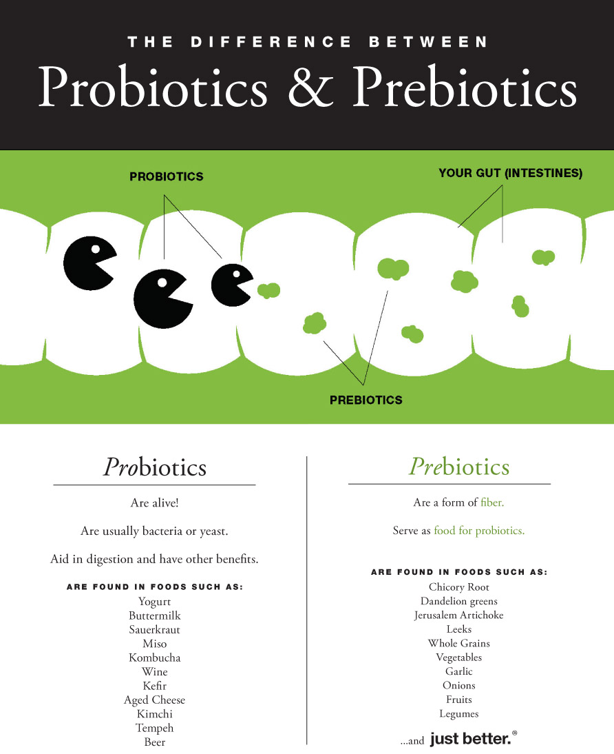 How It Works - Probiotics & Prebiotics